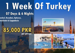 1 Week of Turkey